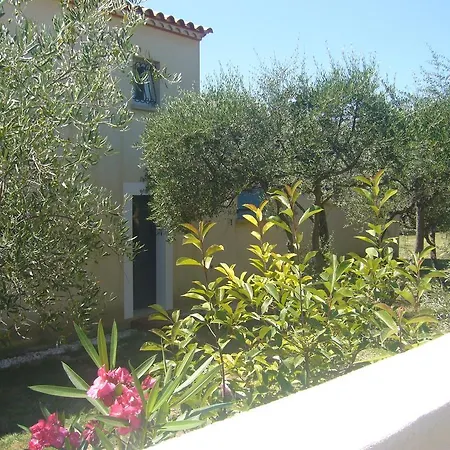 Apartment La Ginente Appartement